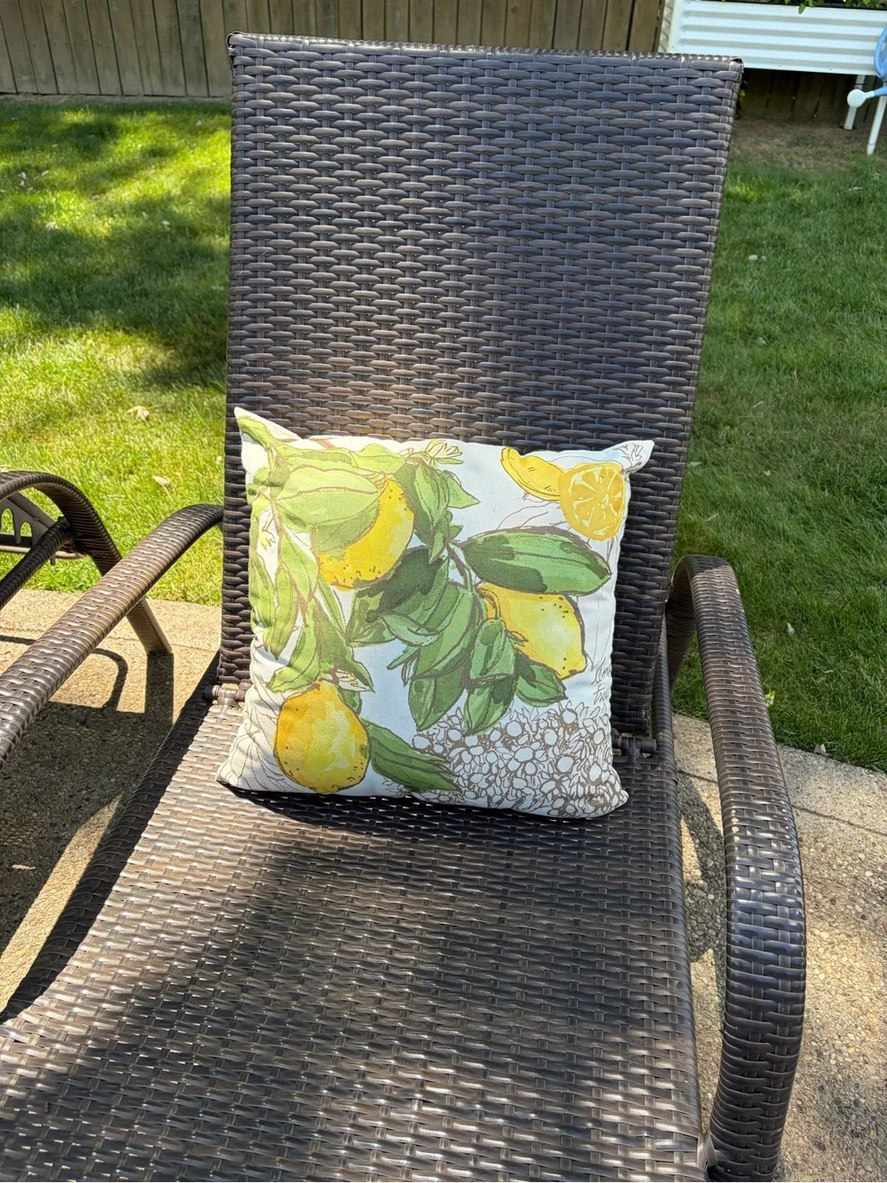 Pottery Barn Lemon & Leaf Print Accent Pillow - Yellow Green